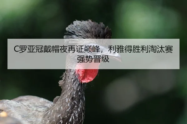C罗亚冠戴帽夜再证巅峰，利雅得胜利淘汰赛强势晋级
