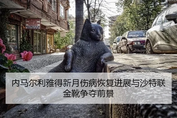 内马尔利雅得新月伤病恢复进展与沙特联金靴争夺前景